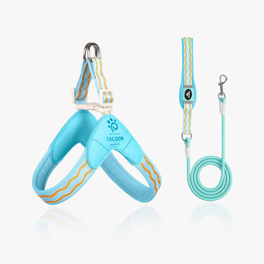 Wavecrest Y-Harness Set