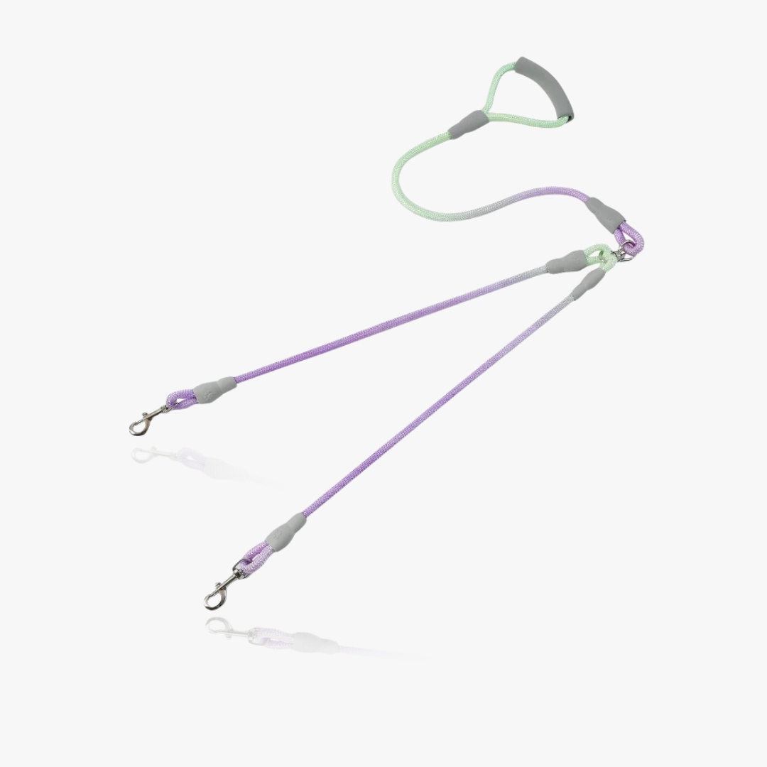 DuoGlide Double Leash