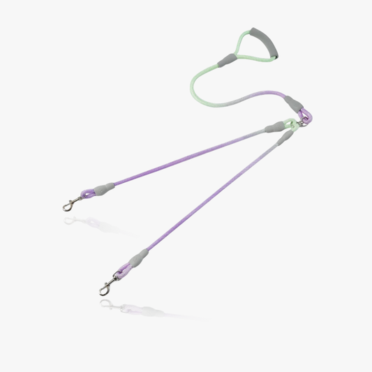 DuoGlide Double Leash