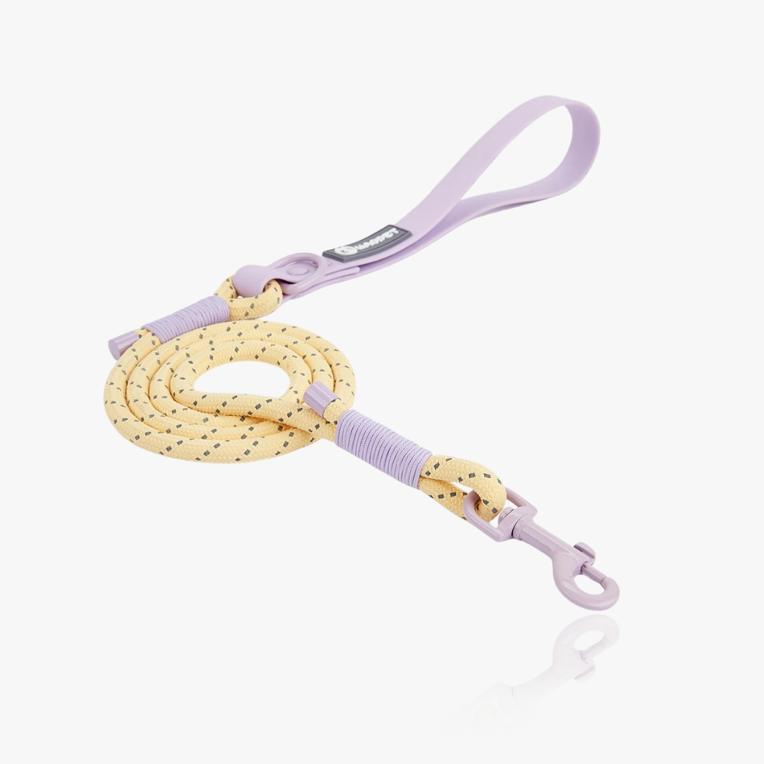 CandyLoop Rope Leash