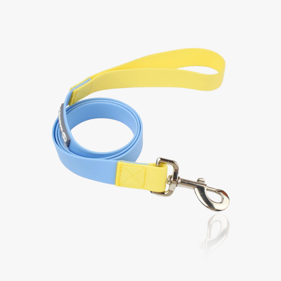 AquaFlex Waterproof Leash
