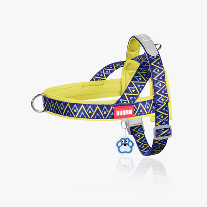 Nomad Geo Harness