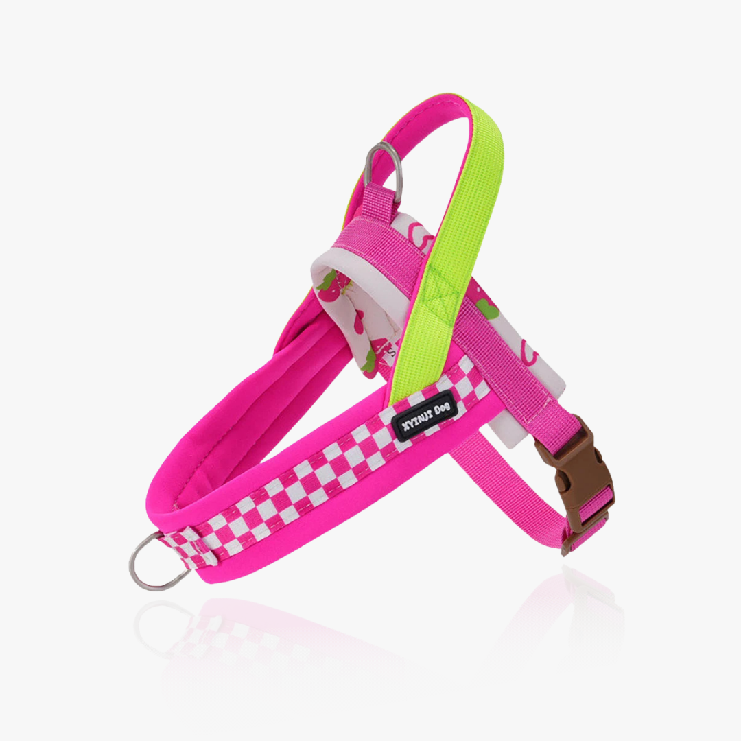 Vista V-Shaped Harness Set