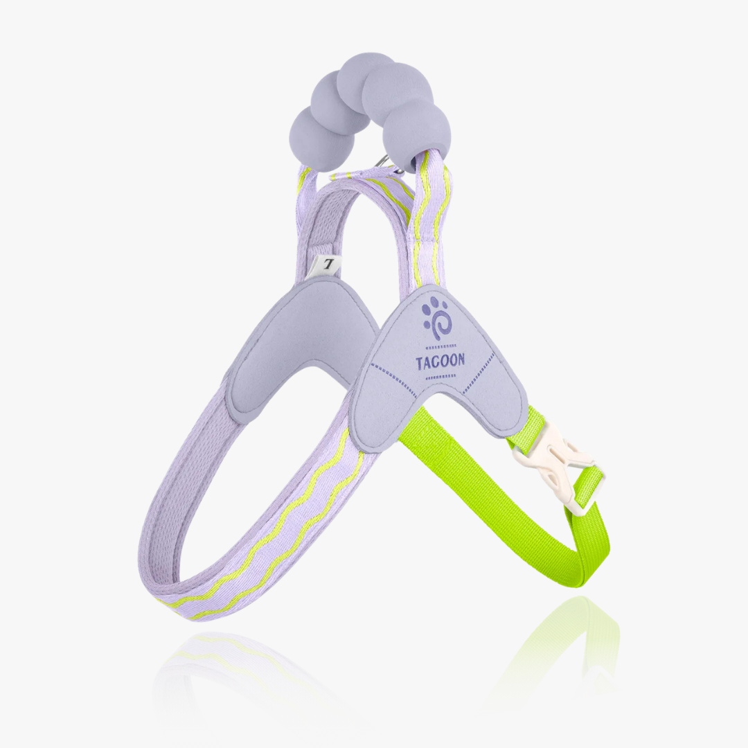 Mellow Y-Harness