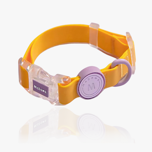 CandyClear Collar