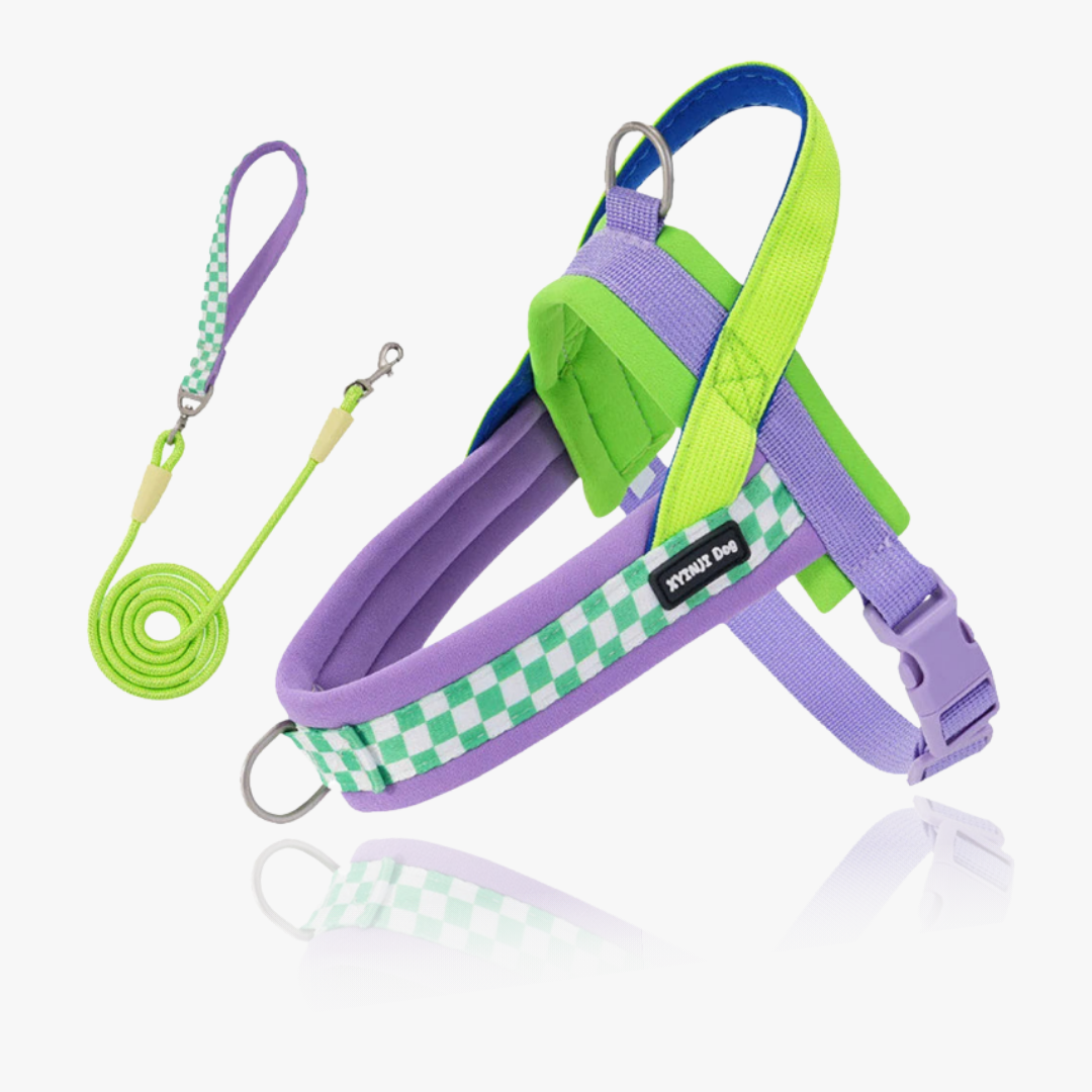 Vista V-Shaped Harness Set