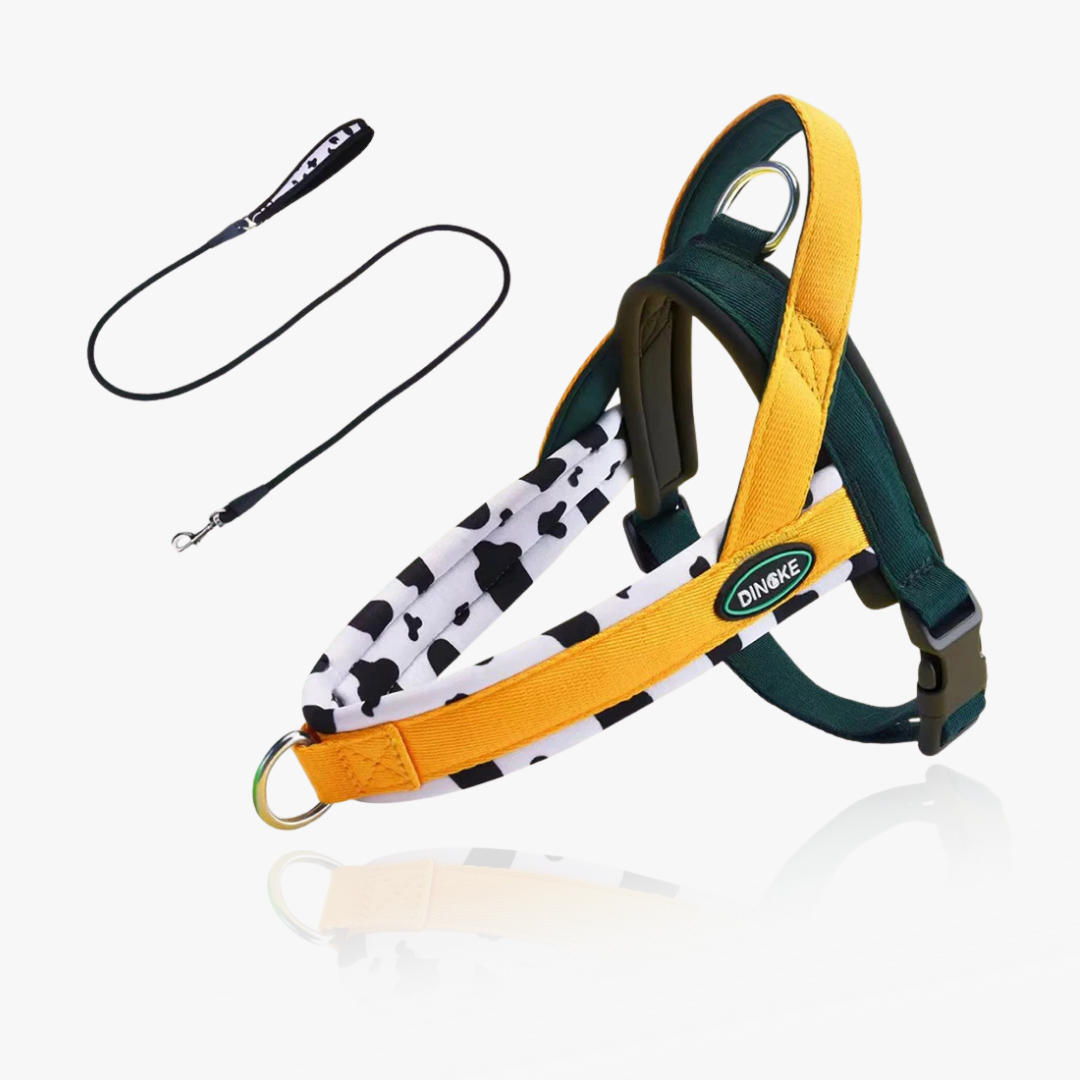 Pulse Adventure Harness Set