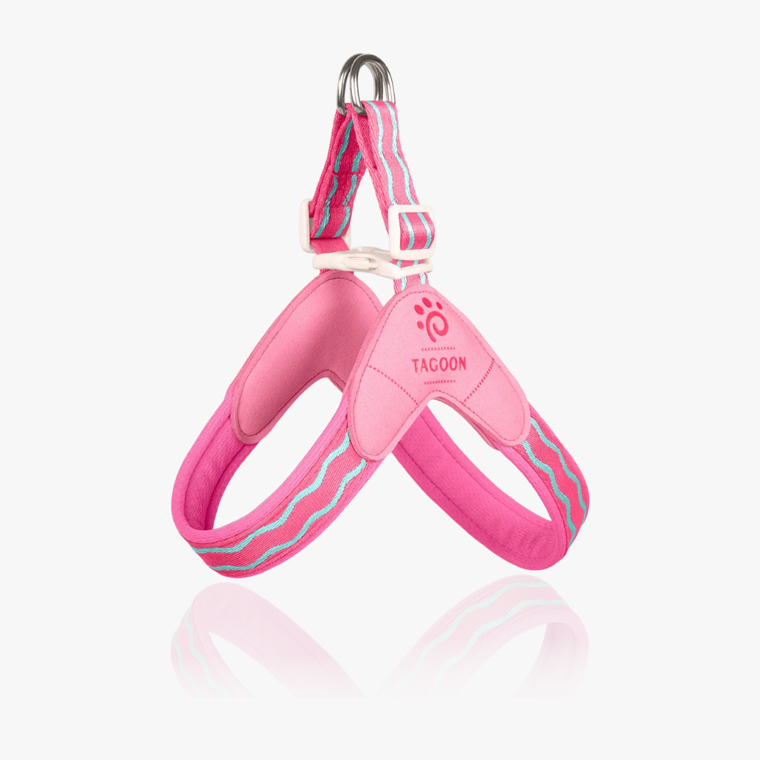 Wavecrest Y-Harness