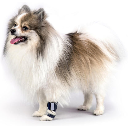 FlexGuard Carpal Support Brace