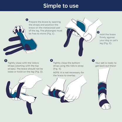 FlexGuard Carpal Support Brace