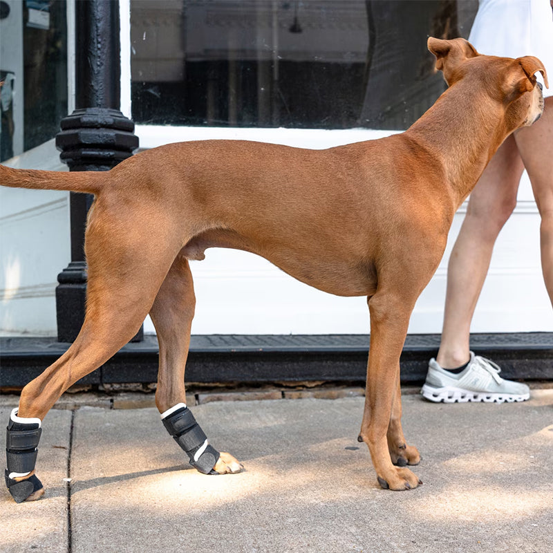 FlexGuard Carpal Support Brace