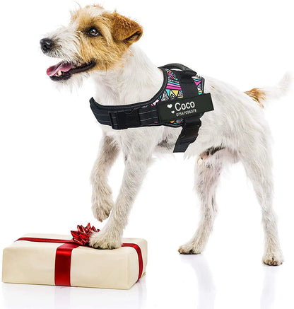 TrailMark Reflective Harness