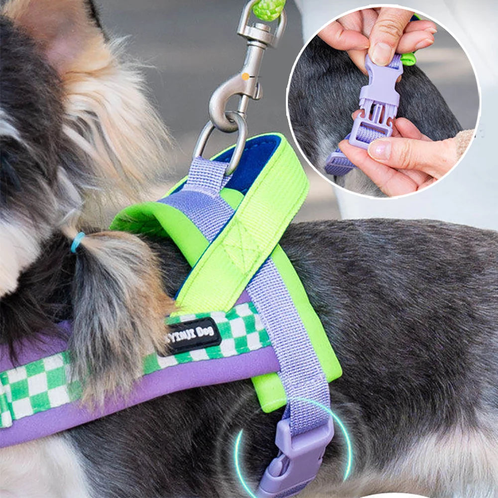 Vista V-Shaped Harness Set