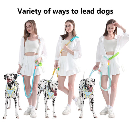 SoftLoop Rope Leash