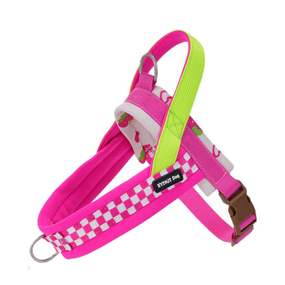 Vista V-Shaped Harness Set