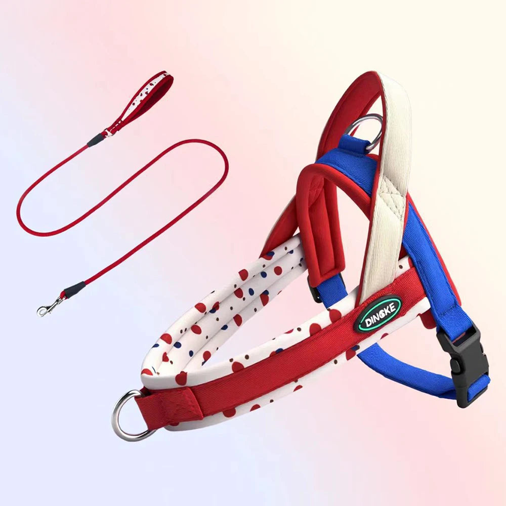 Pulse Adventure Harness Set
