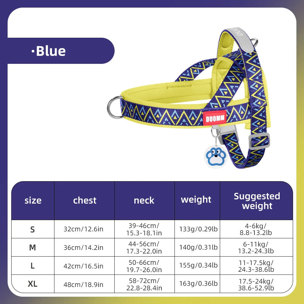 Nomad Geo Harness