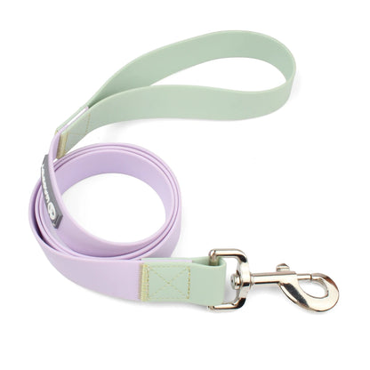 AquaFlex Waterproof Leash