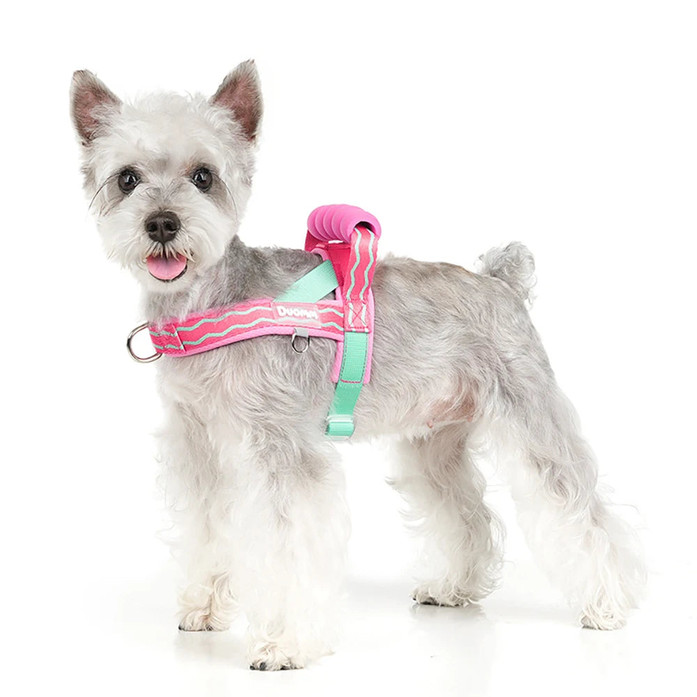 Ripple Saddle Harness