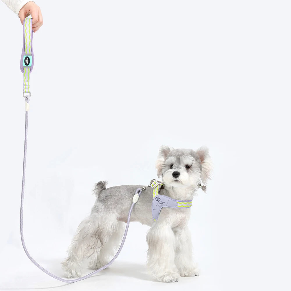 Wavecrest Y-Harness