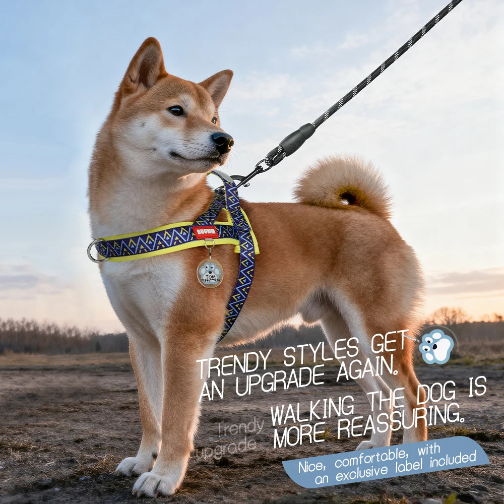 Nomad Geo Harness