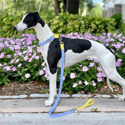 AquaFlex Waterproof Leash