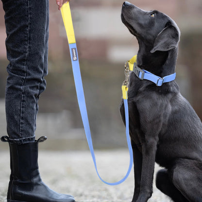 AquaFlex Waterproof Leash