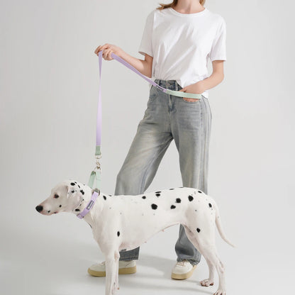 AquaFlex Waterproof Leash
