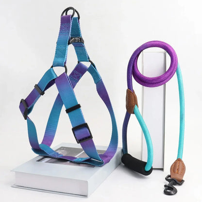 Aura Strap Harness Set