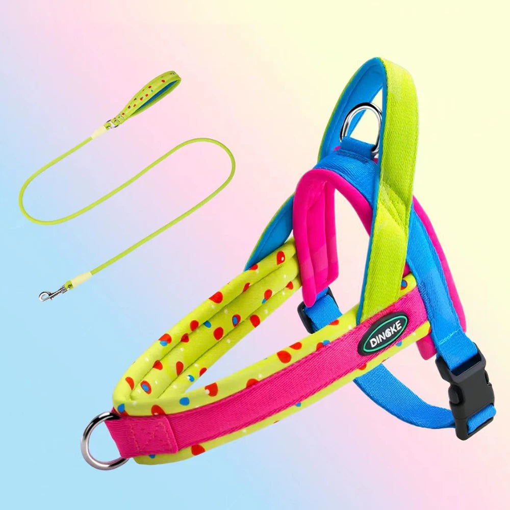 Pulse Adventure Harness Set