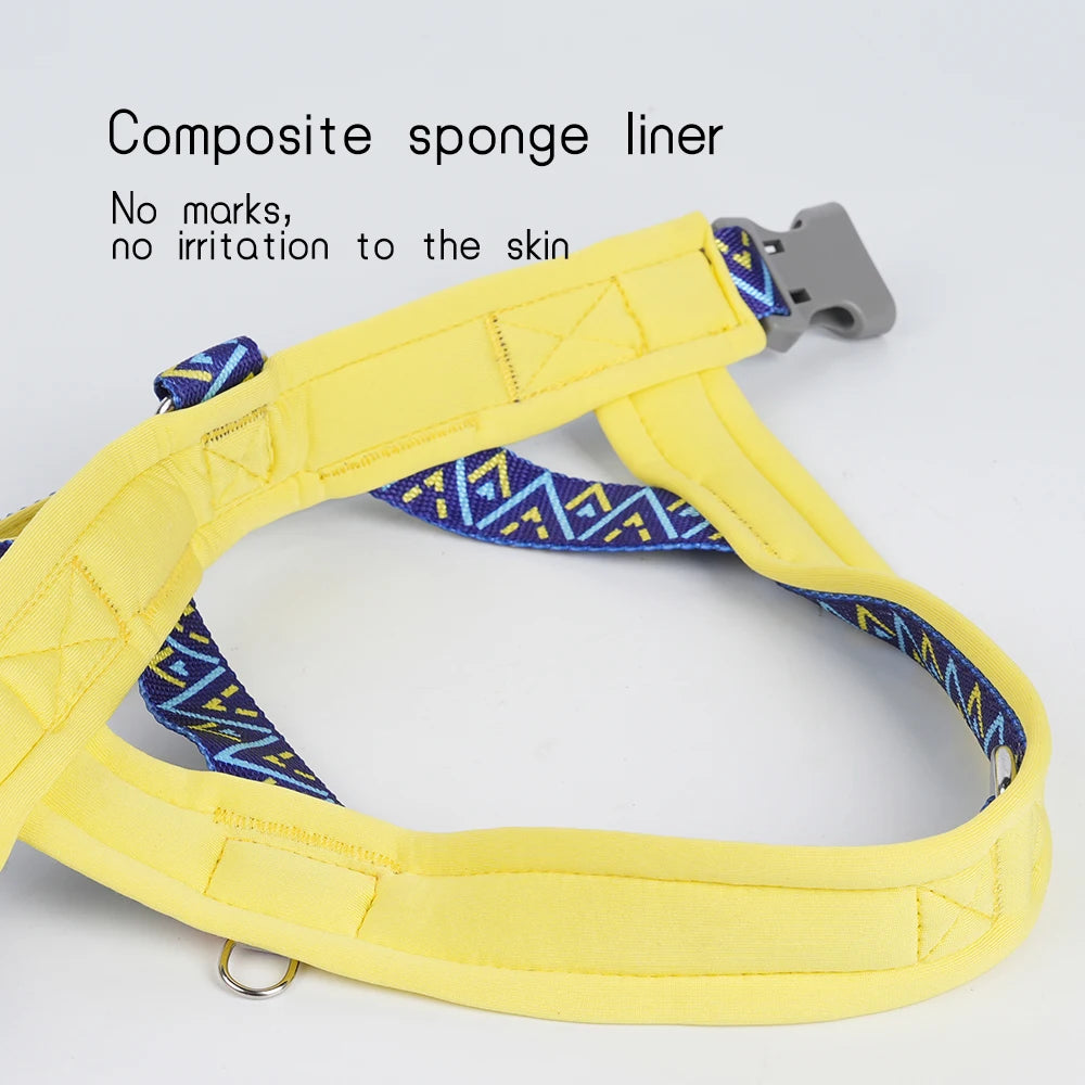 Nomad Geo Harness