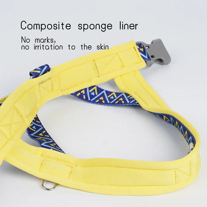 Nomad Geo Harness