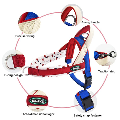 Pulse Adventure Harness Set