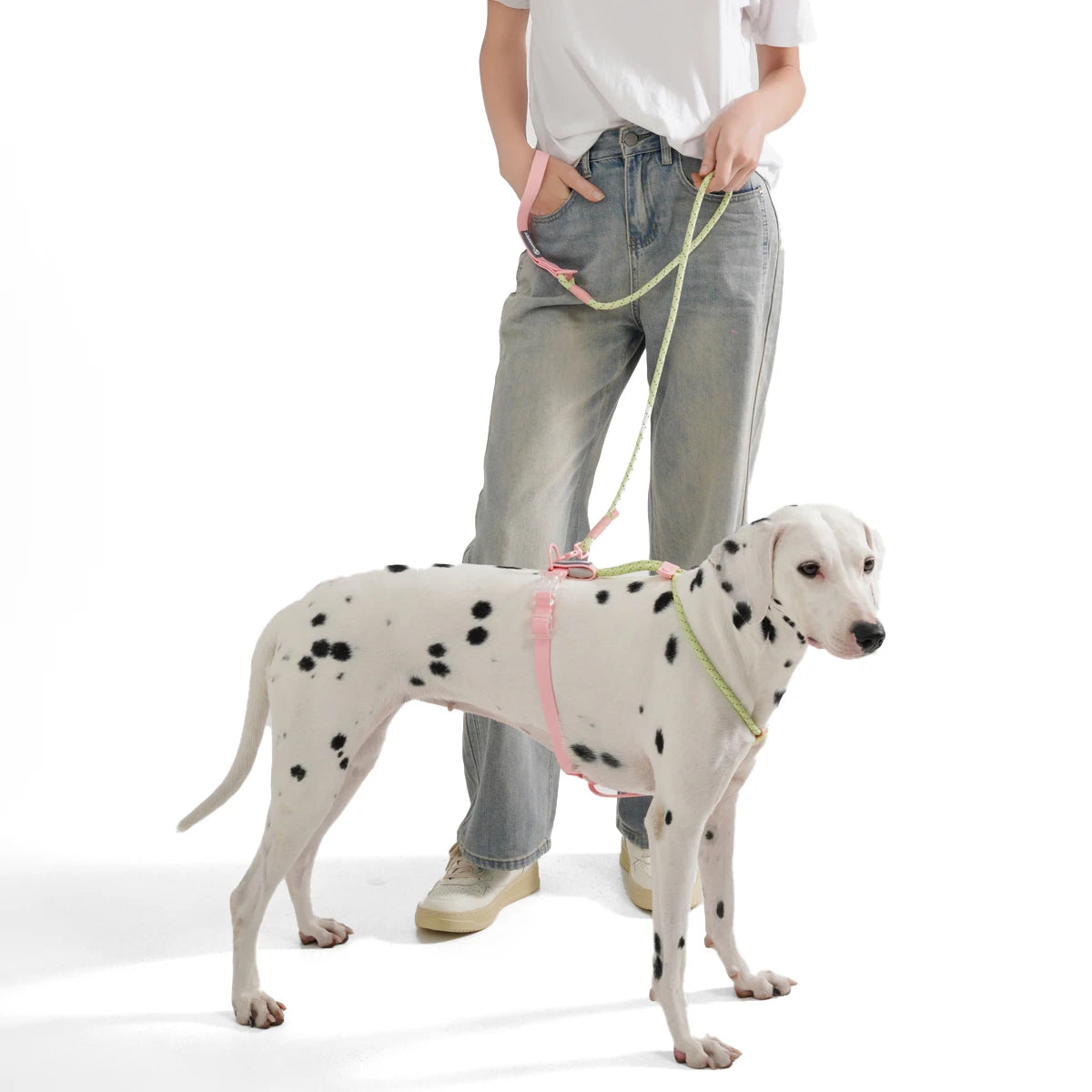 CandyLoop Rope Leash