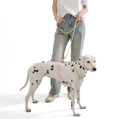 CandyLoop Rope Leash