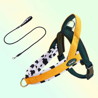 Pulse Adventure Harness Set