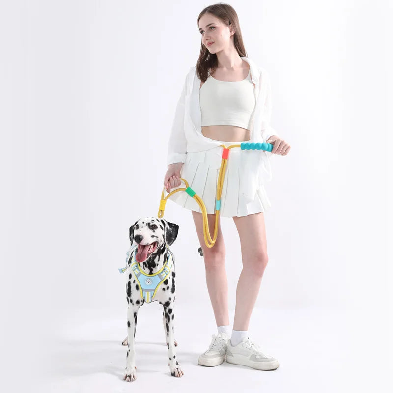 SoftLoop Rope Leash