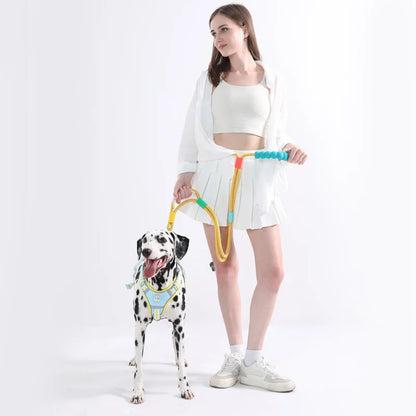 SoftLoop Rope Leash