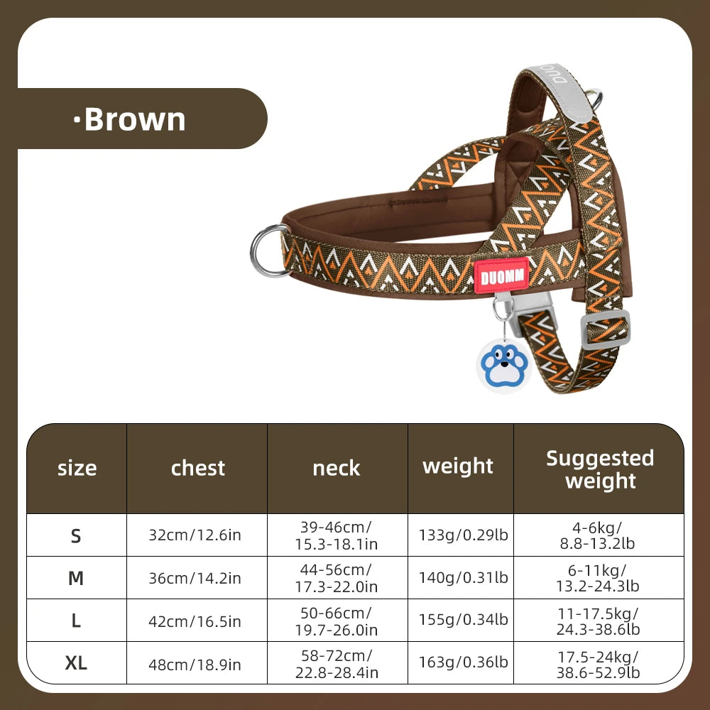 Nomad Geo Harness