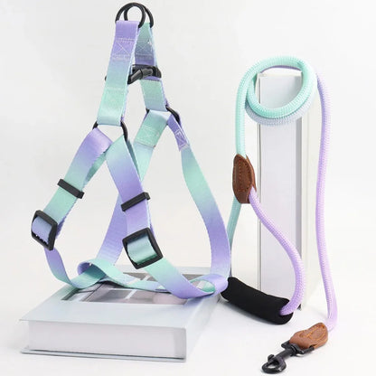 Aura Strap Harness Set