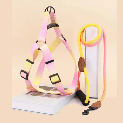 Aura Strap Harness Set