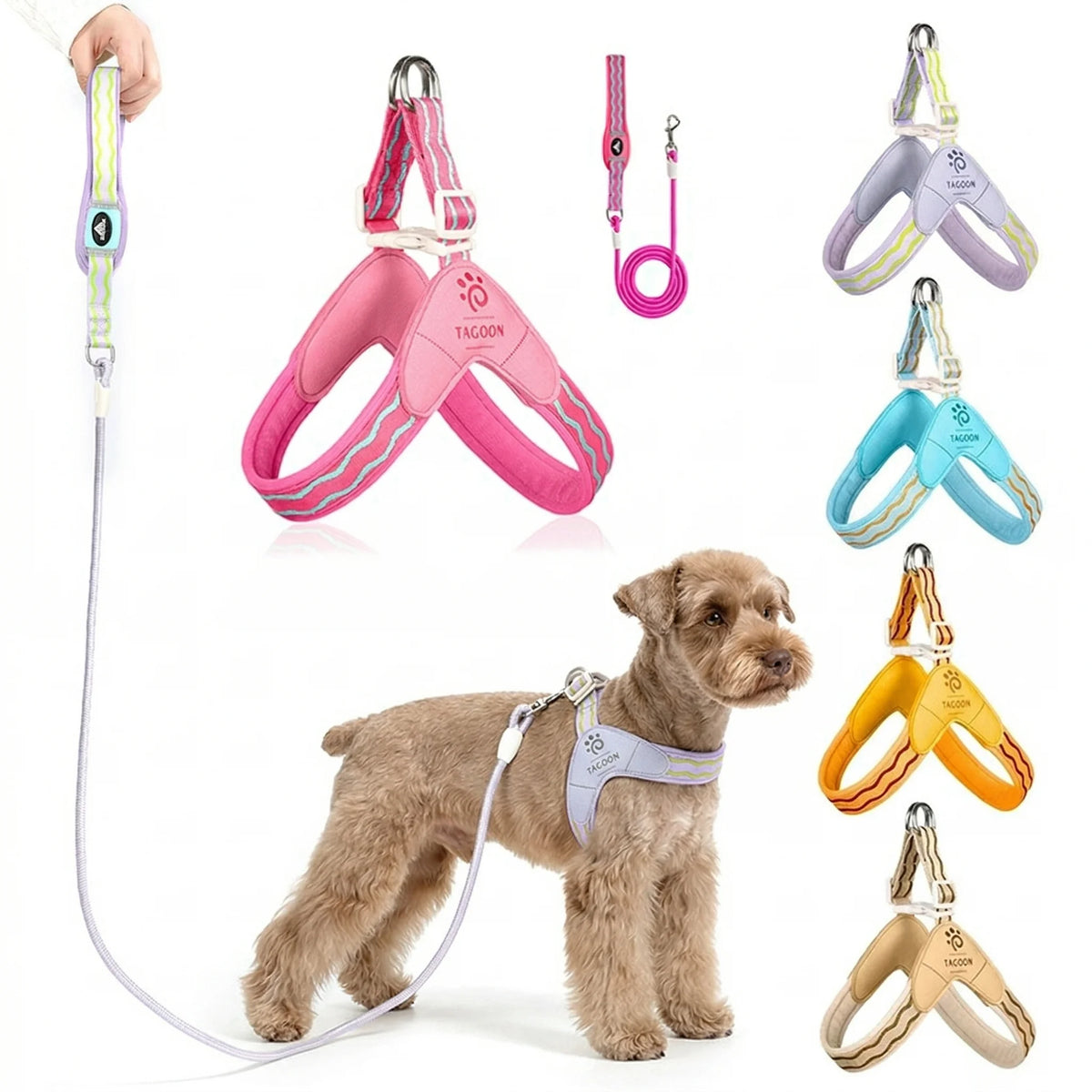 Wavecrest Y-Harness
