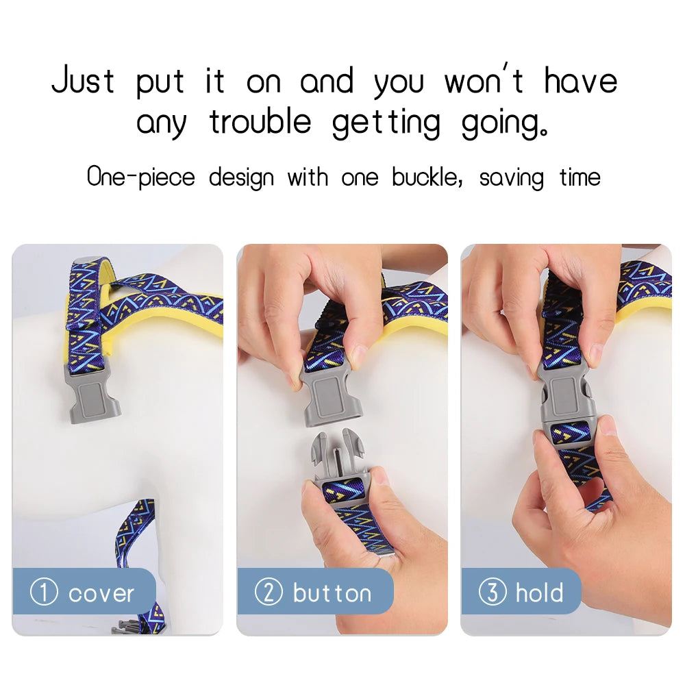 Nomad Geo Harness