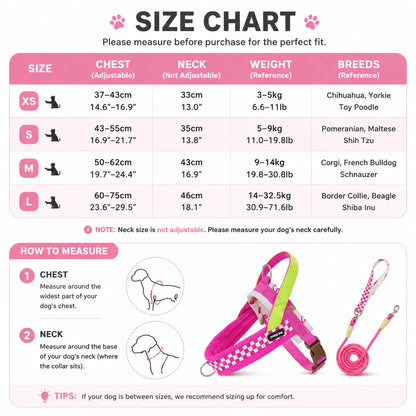 Vista V-Shaped Harness Set