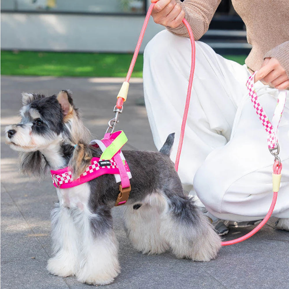 Vista V-Shaped Harness Set