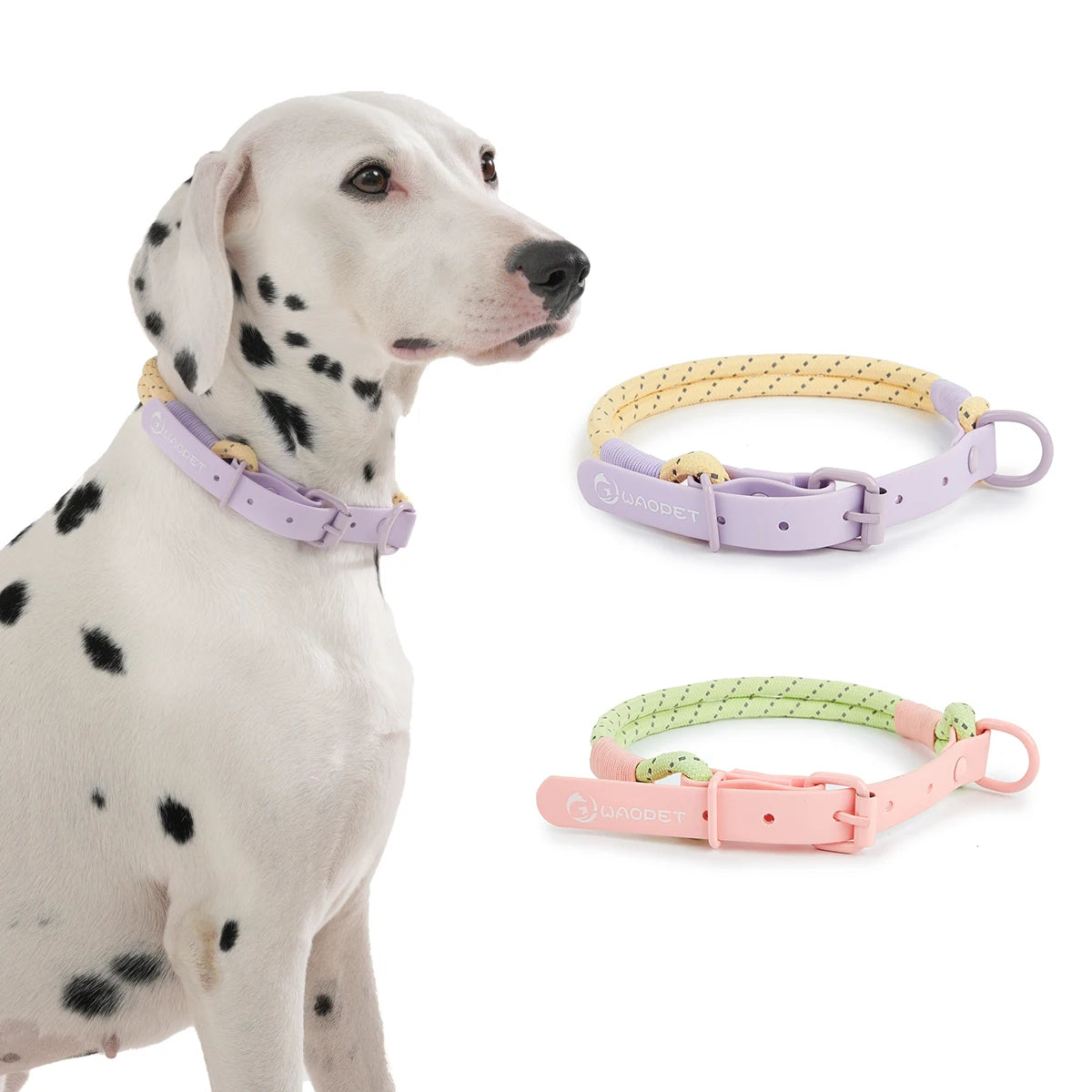 CandyLoop Rope Leash