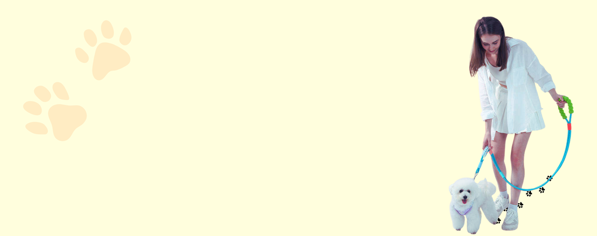 Homepage banner
