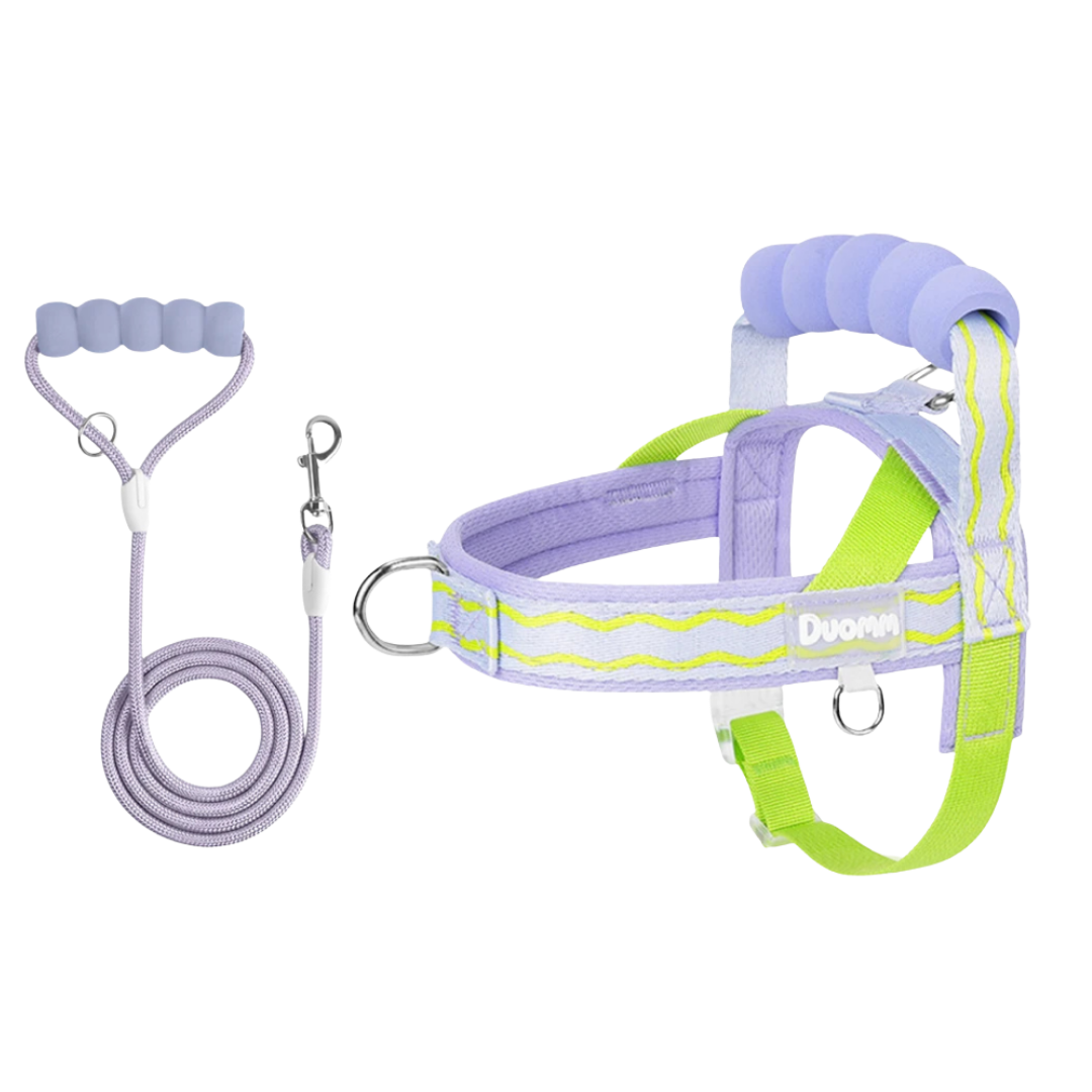 Walk Kit Set