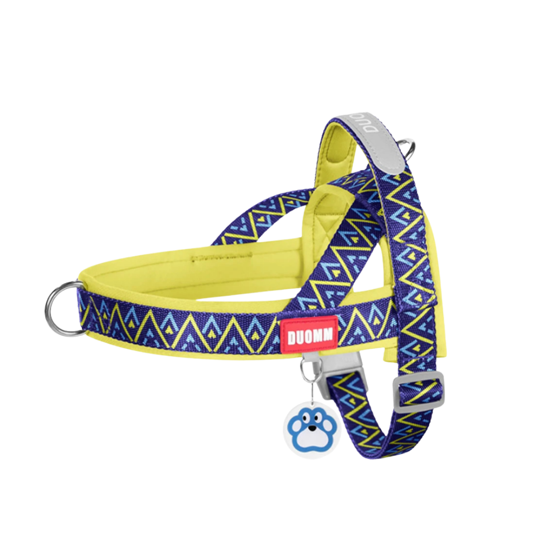 Harness