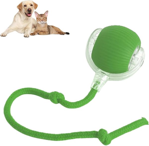 PetSyndra™ Smart Pet Ball – Interactive & Pet-Friendly